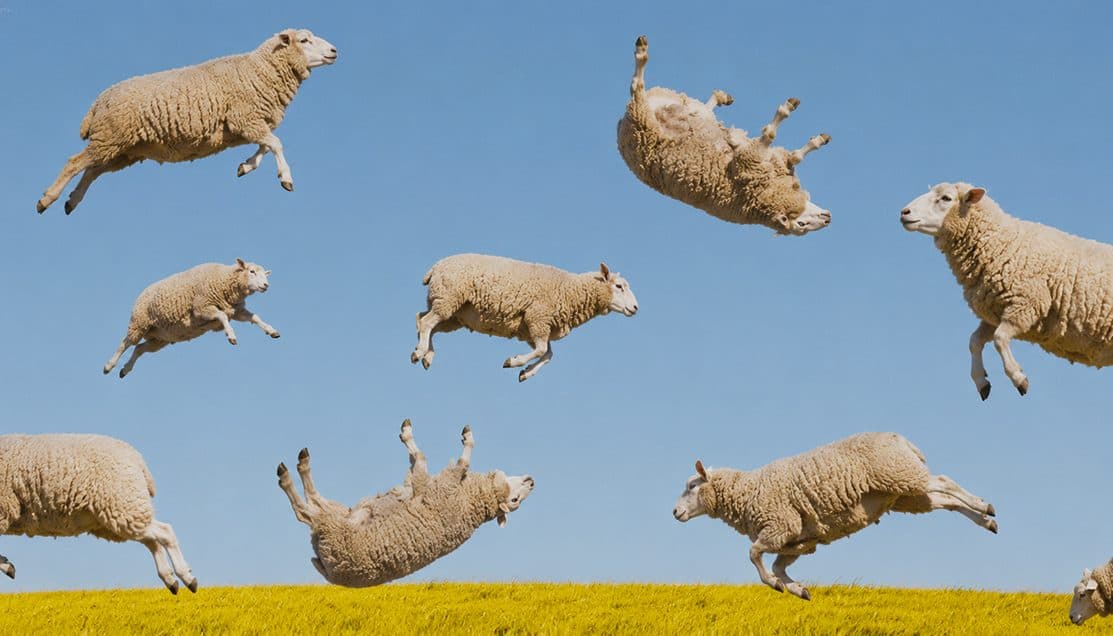 Sheep leaping through a blue sky above a yellow field