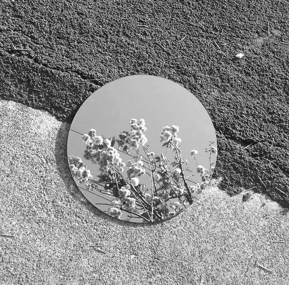 Round mirror on cracked asphalt reflecting a flowering branch against the sky